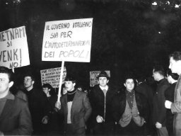 Manifestazione Vietnam