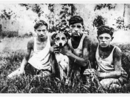 Ciavada, Carolina, Fornaciari