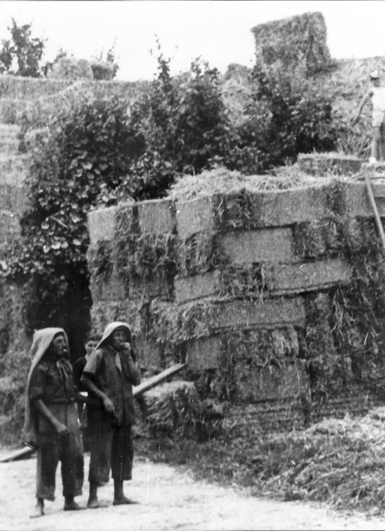 i caricatori Pelegreffi