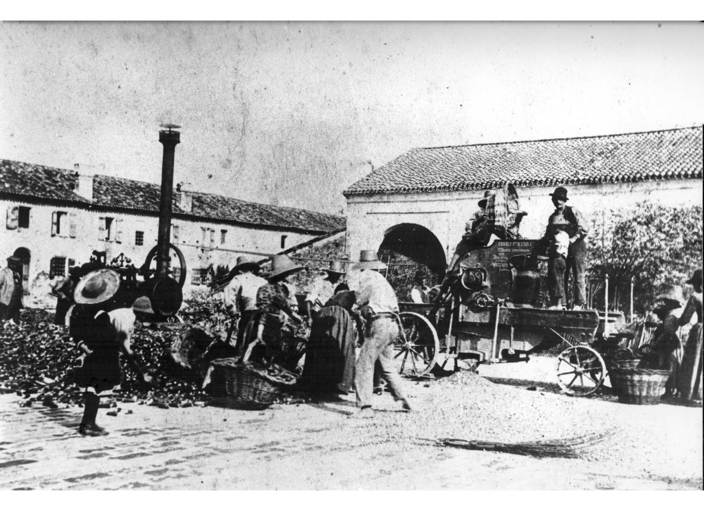 Spannocchiatura granoturco cinquantino 1930 Fantini 