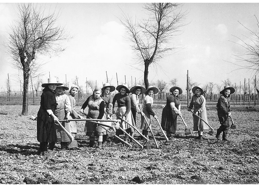 zappatrici Vezzani Flora