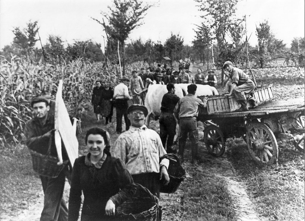 Azzarri Pierina Bulgarelli Dante Pelegreffi