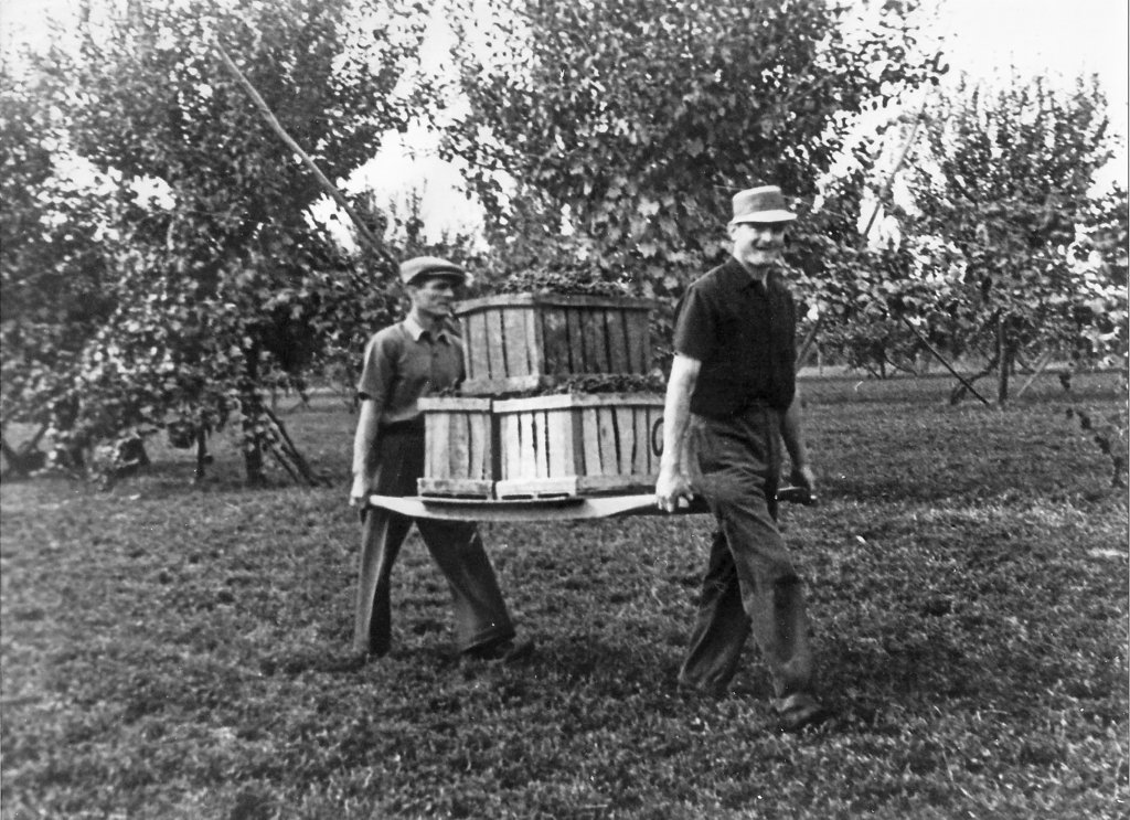 Gaietta, Ferrari Aldo