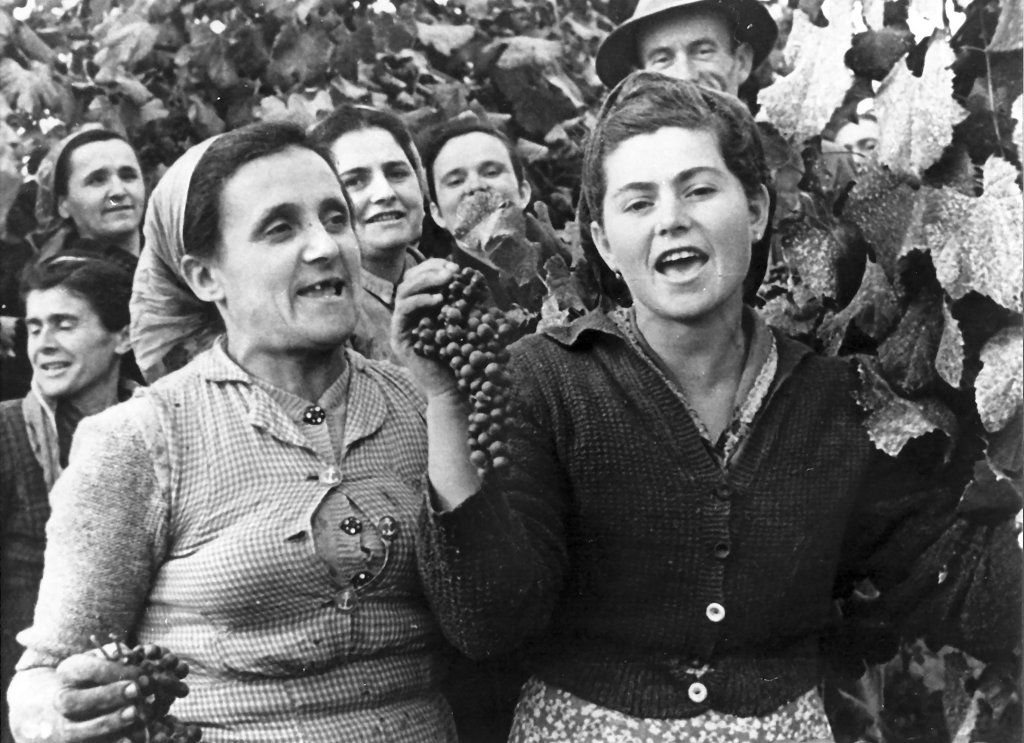 Reggiani Ele, Vezzani Ornella, Ferrari Adria