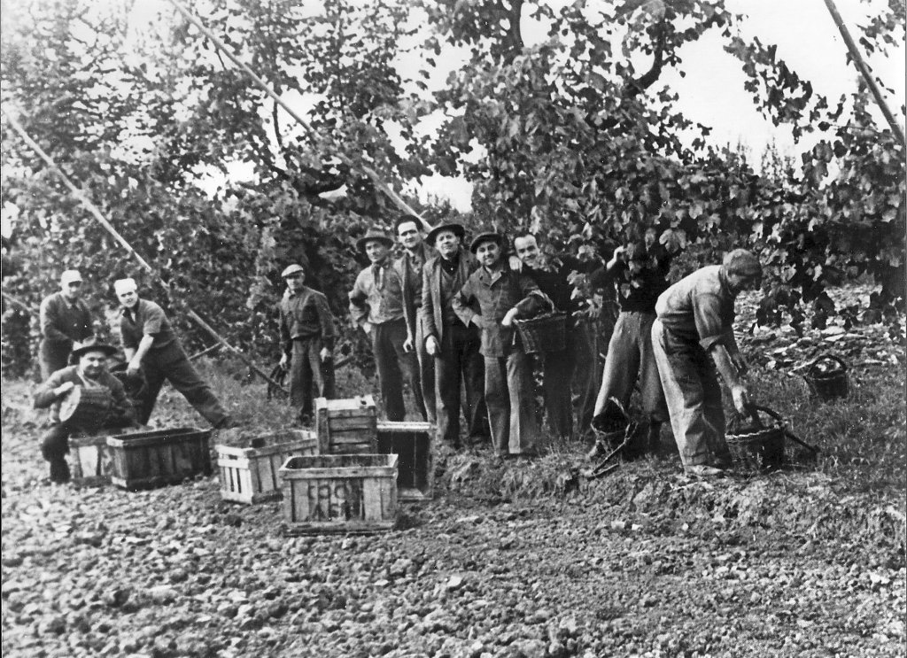 Foroni Aldo, Vezzani MUGIO, Magnanini ZIOZIO Borciani Aimone