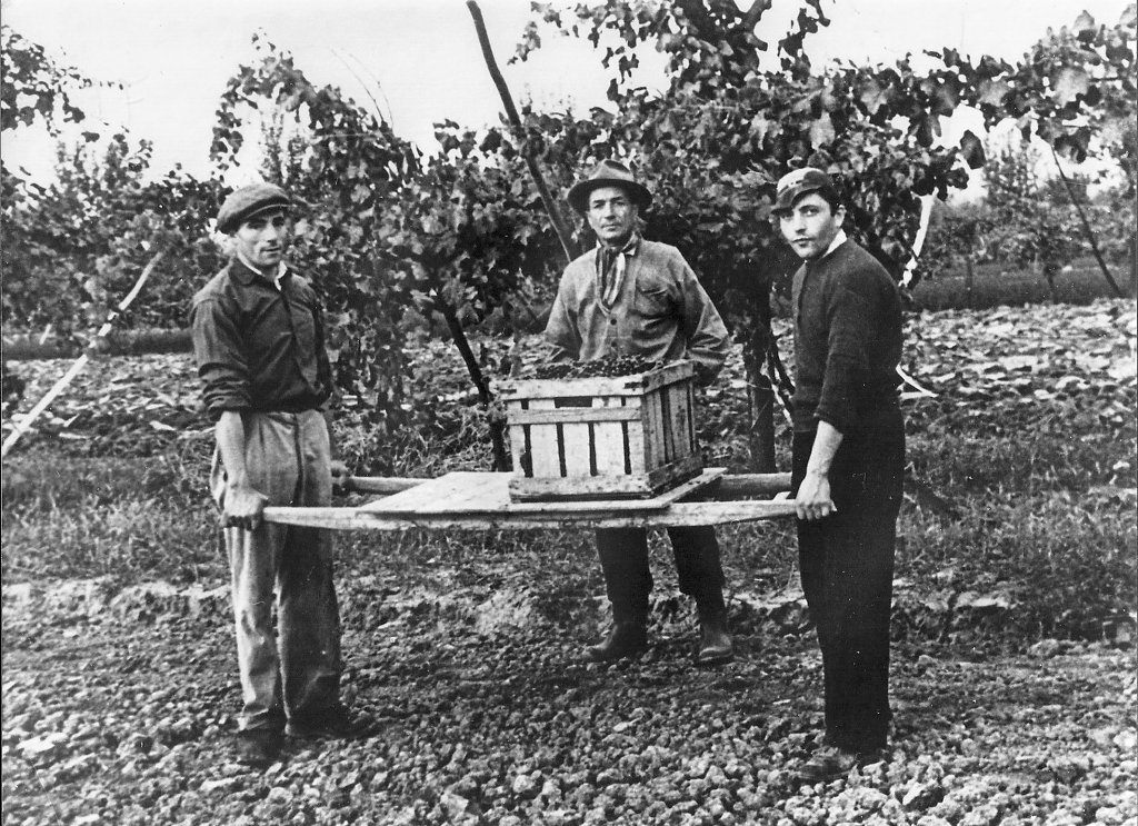 Foroni Girolamo, Pergreffi Edo, Ferretti Carlo