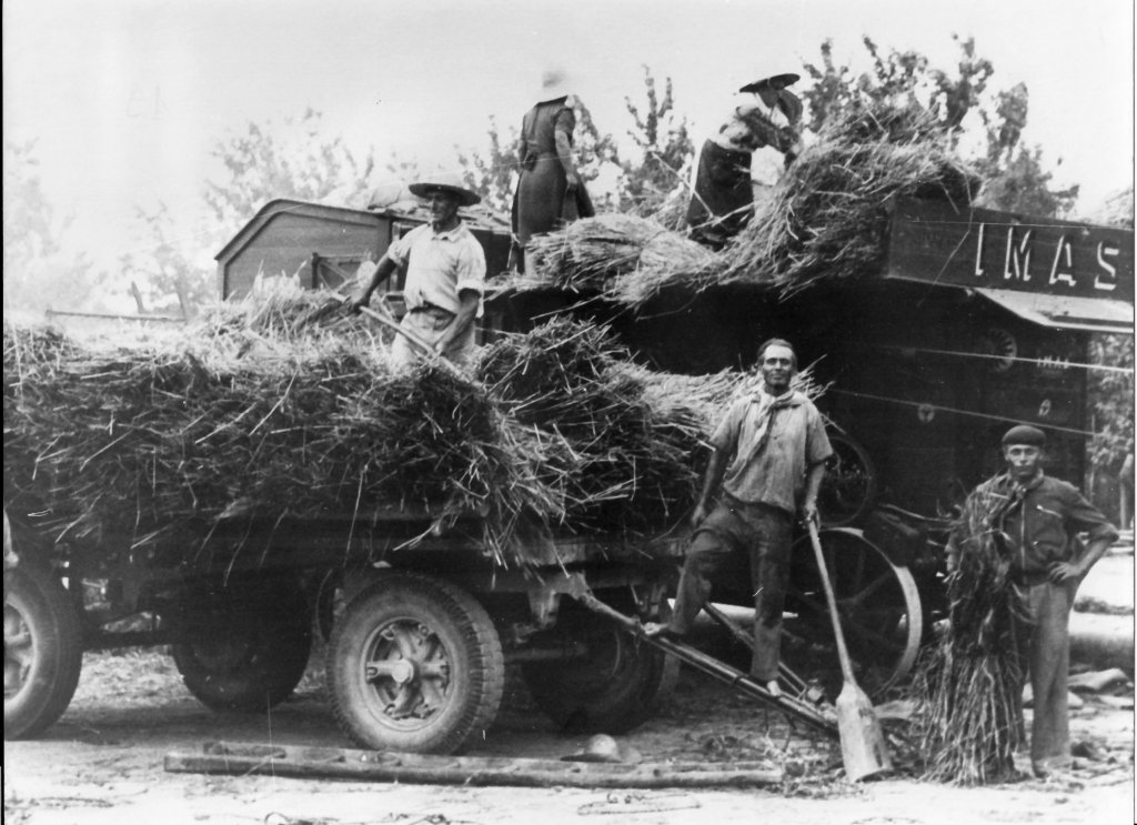 Amaini Giulio Pelegreffi