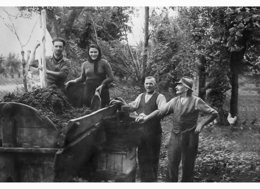 Massari Zabaion Rodolfo Crema Vanna Crema