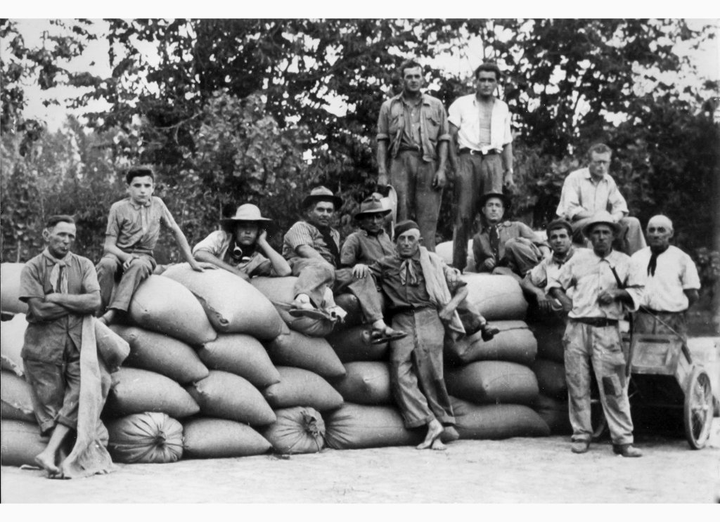 Pantaleoni Fusari Bartoli