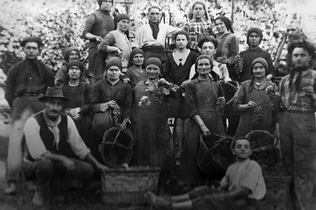 Vendemmia 1925