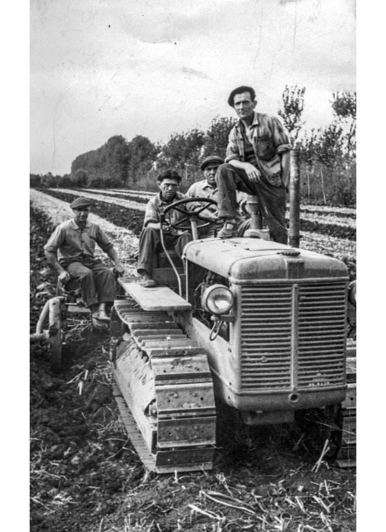 Campagna Aratura Bigi E. Vioni Marani Lusuardi 1950