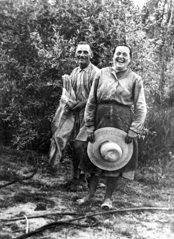 Campagna Lavoro in campagna 1952 Rondini