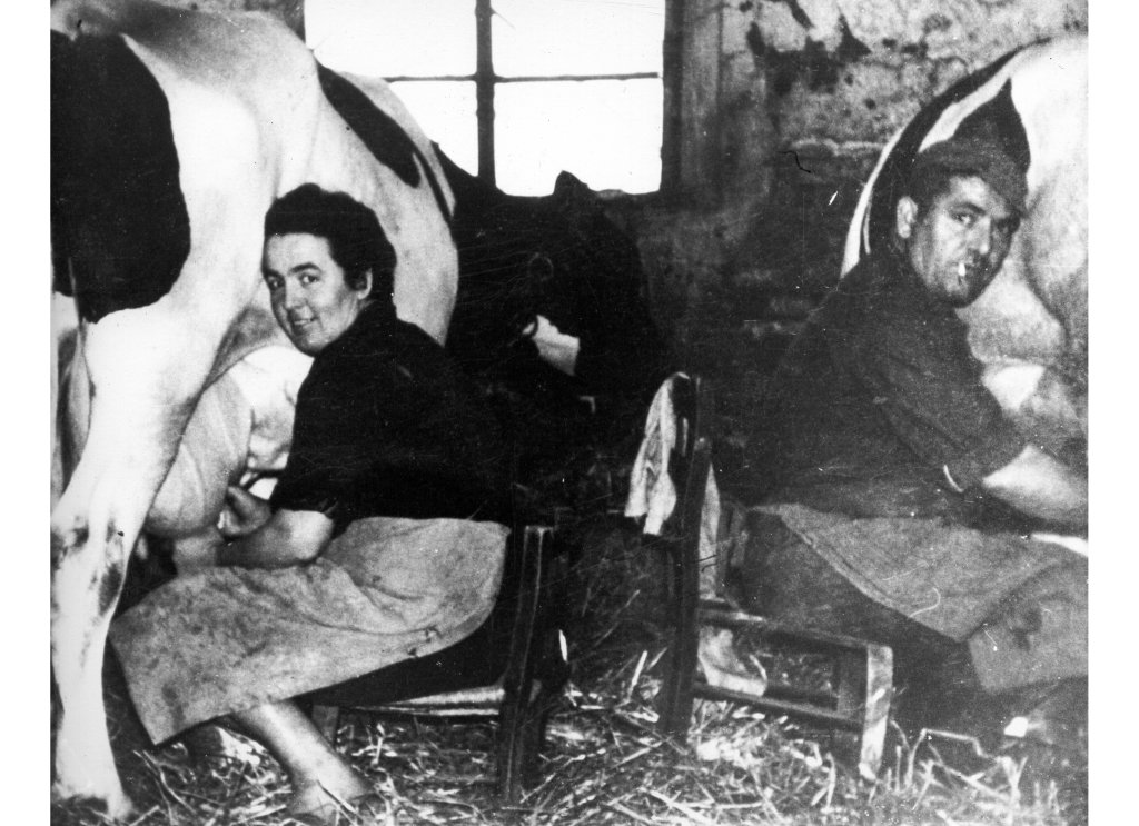 Mungitura a mano Belluti