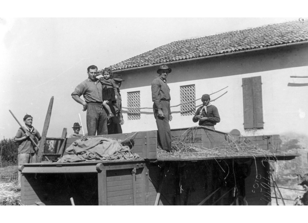 Coop Agricola 1952 trebbiatura riso
