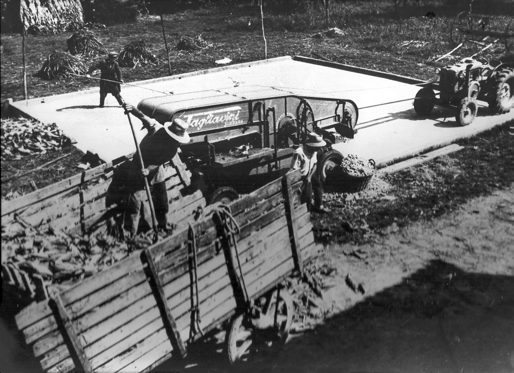 Trebbiatura granoturco