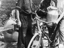 Dino Magnani - Terzi Carolina