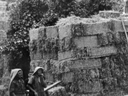 i caricatori Pelegreffi