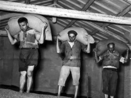 Trasporto sacchi grano '56 Fiorini