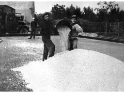 Ezio Foroni - Umberto Pancaldi