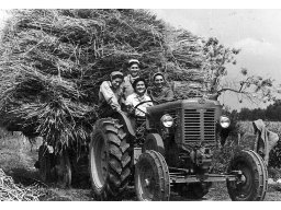 Trasporto riso Dimma Foroni, Carolina Terzi, Ele Bonini, Renzo Bellesia