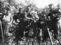 COOP AGRICOLA Davolio Nestore, Gozzi PICCOLO, Ferrari Aldo