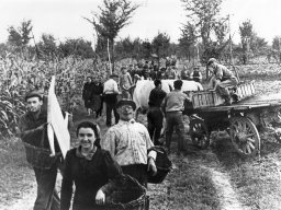 Azzarri Pierina Bulgarelli Dante Pelegreffi