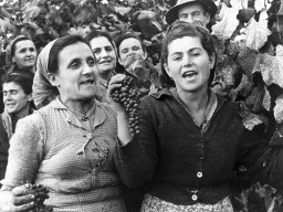 Reggiani Ele, Vezzani Ornella, Ferrari Adria