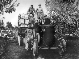 Guberti Amedeo, Davolio Paolo