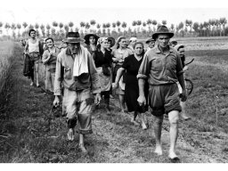 risaia mietitura Vezzani Rina, Cattini Marta, Foroni Dimma, Foroni Mut, Magnani Dino