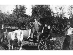 Bellesia Armando, figlio Guido nipoti Vanna e Armando, Alberici Lelio 1943 