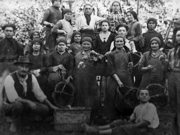 Vendemmia 1925