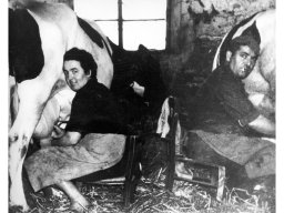 Mungitura a mano Belluti