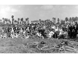 Coop Agricola 1952 risaia mietitura