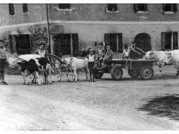 Fondo Brunoria Fam. Marani 1944