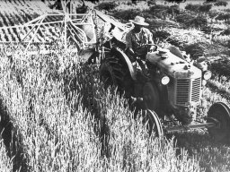 Mietitura Landini L25