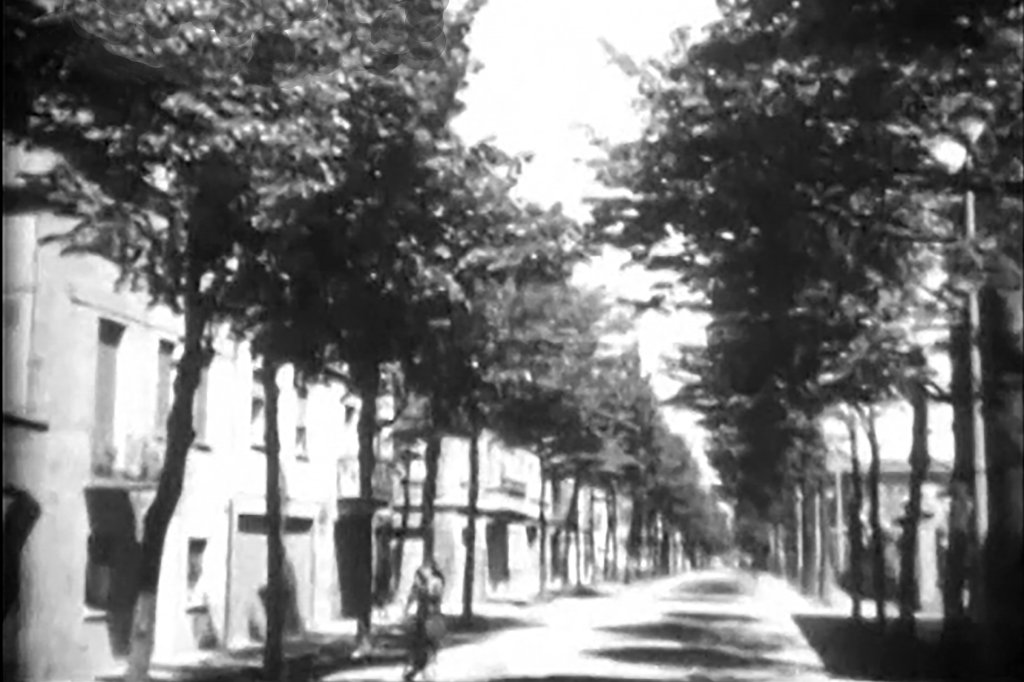 Via De Amicis con i tigli