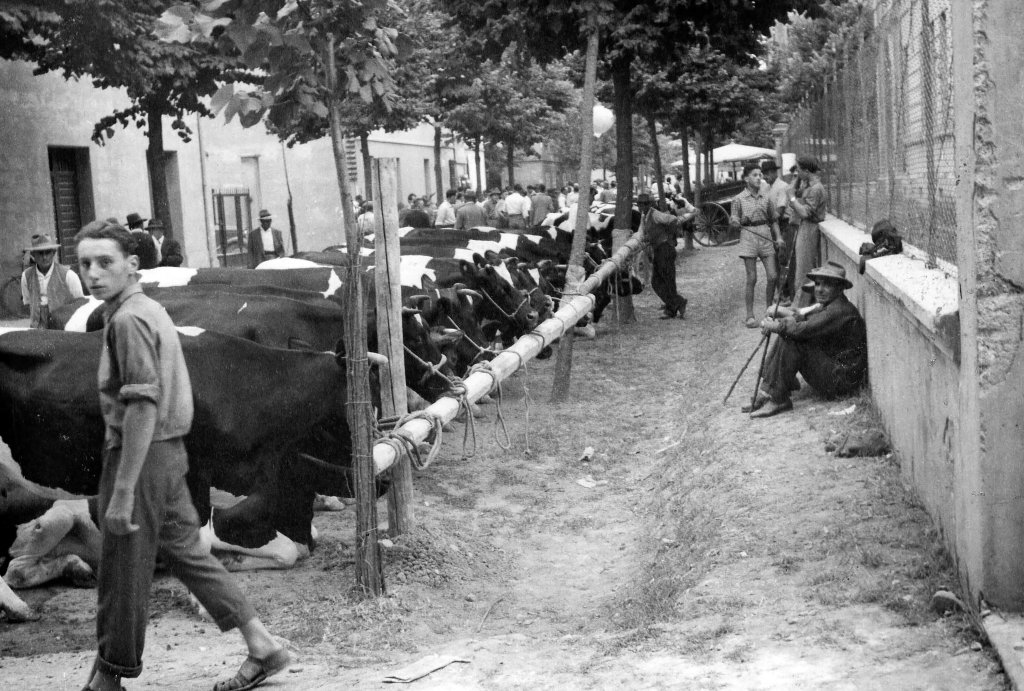 Via De Amicis - Via Battisti mostra agricola anni 50
