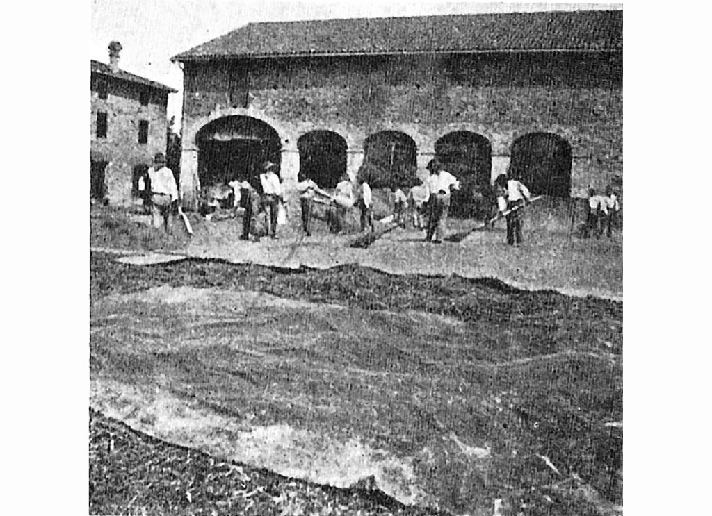 fondo donata primi 900