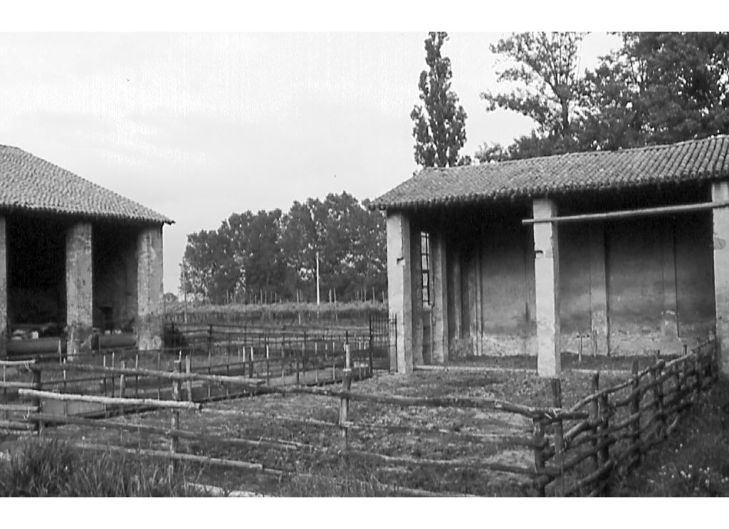 part recinto vitelli