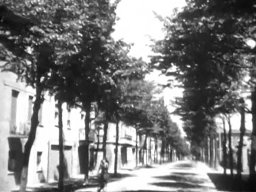 Via De Amicis con i tigli