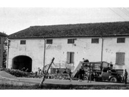 Coop Agricola 51-53 battitura granoturco