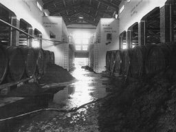 cantina epoca fascista