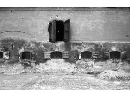 part. corte Pussion 2